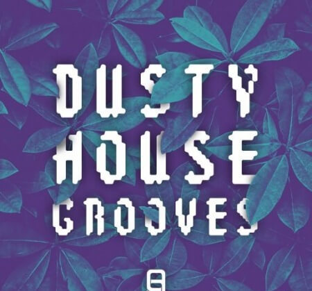 Ultimate Loops Dusty House Grooves WAV